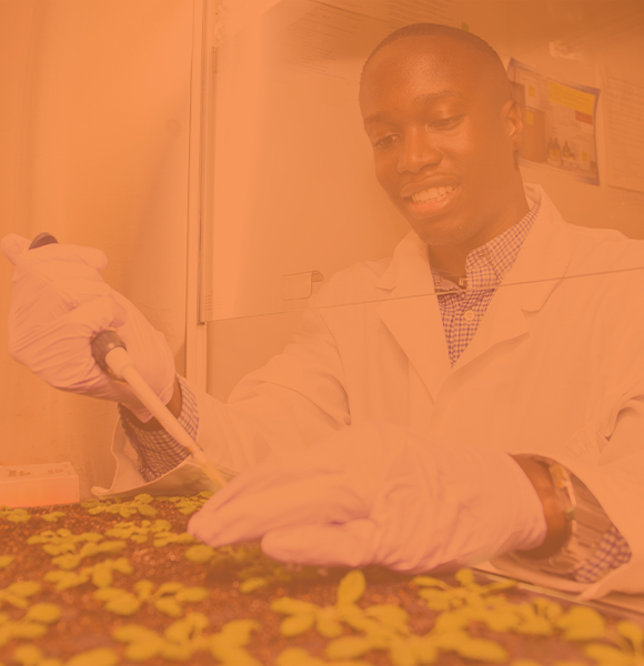 A student in a lab coat looking at plants