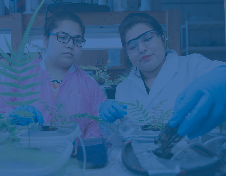Two students looking at plants in a lab.