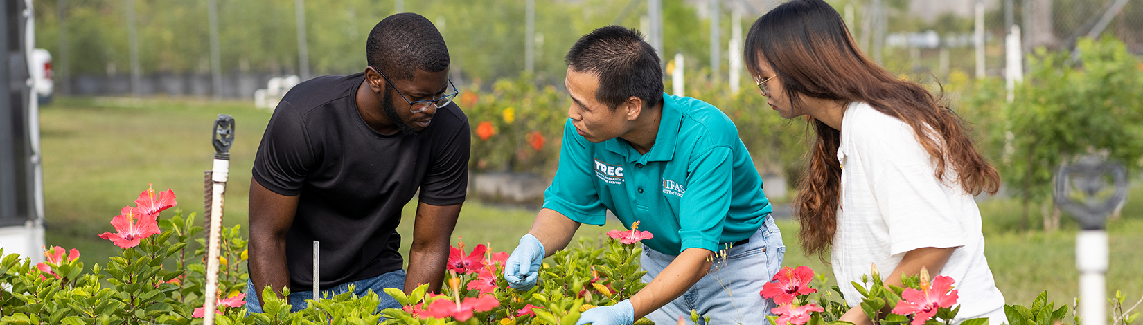 Faculty member looks at the student to his right as he shows both the student to his right and left a flowered plant. 