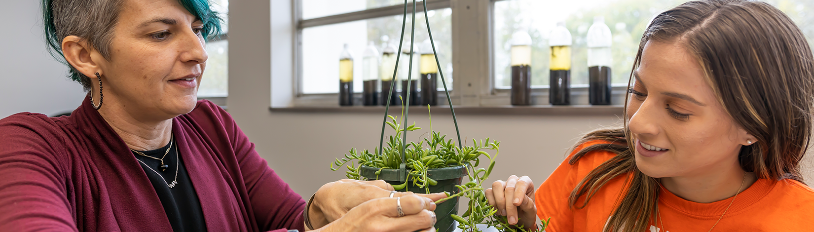 Faculty member and student observe a plant.