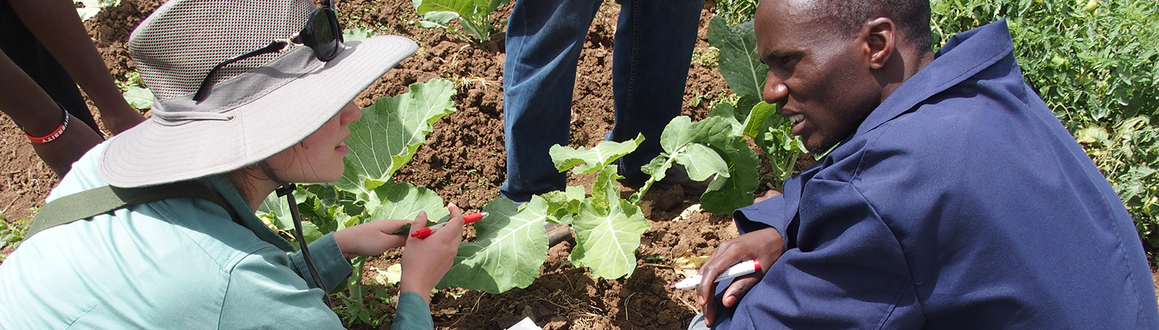 Female student kneels next to plants while conversing with male Kenyan farmer.