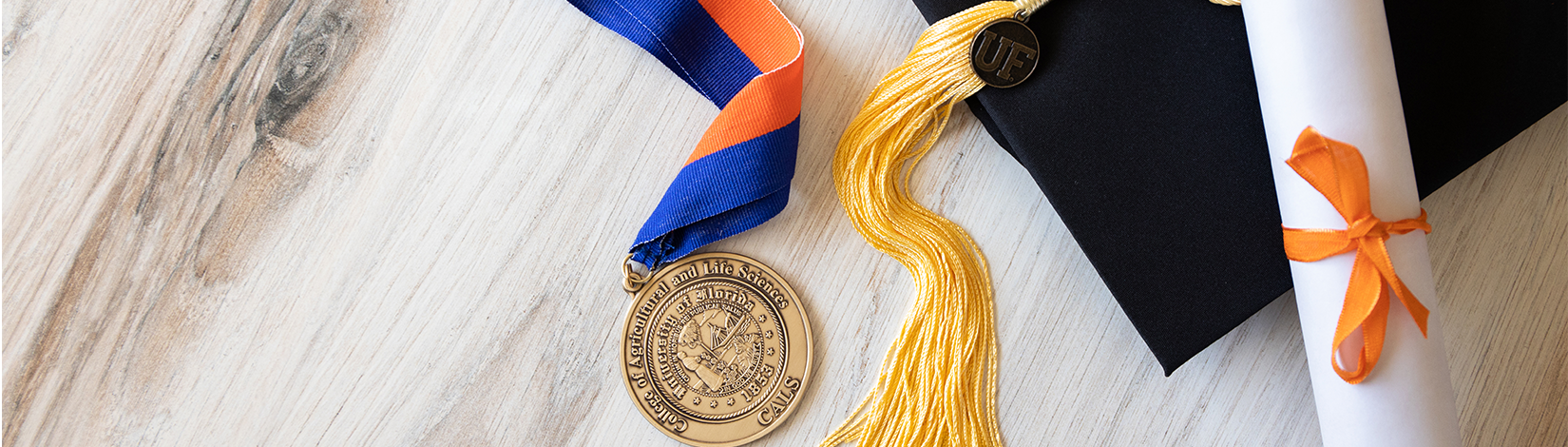 A graduation cap, diploma, and tassel arranged together, symbolizing academic achievement and celebration.