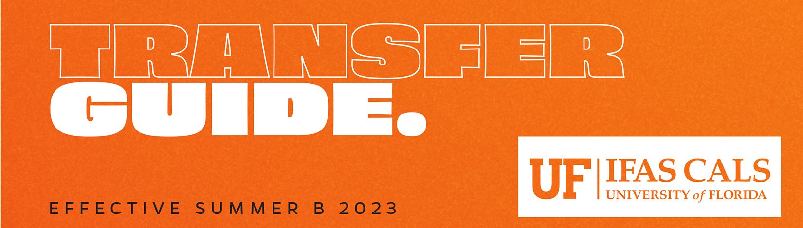 Orange graphic that says 